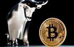 Tăng 15% trong 1 tuần, giá Bitcoin tái lập mốc 9.000 USD