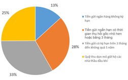 Tập đoàn Dầu khí Việt Nam gửi bao nhiêu tiền trong ngân hàng?