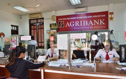 Nợ xấu tại Agribank giảm mạnh, thu nhập bình quân nhân viên vọt lên gần 29 triệu đồng/tháng