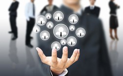 Bạn có biết: REE có nghề nuôi cá cảnh, BĐS Phát Đạt có săn bắt - đánh bẫy, Kinh Bắc có sản xuất CD-VCD hay PNJ còn có nghề "Cắt tóc gội đầu"...