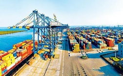 Doanh nghiệp cảng biển đồng loạt lãi vượt kế hoạch 2019