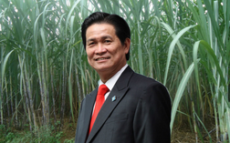 Ông Đặng Văn Thành vừa chi hơn trăm tỷ mua gần 10 triệu cổ phiếu SBT