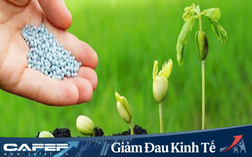 KQKD ngành phân bón quý 1: Bên lãi đậm, bên thua lỗ nặng nề
