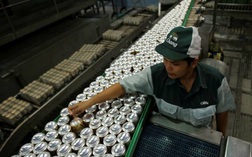 Lợi nhuận Sabeco hồi phục mạnh, ThaiBev dự kiến IPO mảng bia tại Singapore thu về 2 tỷ USD