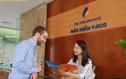Bảo hiểm Pjico (PGI) sắp họp ĐHCĐ trình phương án phát hành cổ phiếu thưởng tỷ lệ 25%, vốn điều lệ vượt mức 1.100 tỷ đồng