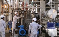 Đạm Cà Mau (DCM): Tăng công suất nhà máy lên 112%, dự đạt 300.000 tấn sản phẩm cho cao điểm vụ Đông Xuân