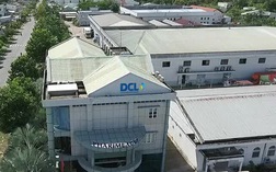 Cựu Tổng Giám đốc, Kế toán trưởng Dược phẩm Cửu Long (DCL) bị khởi tố, bắt tạm giam