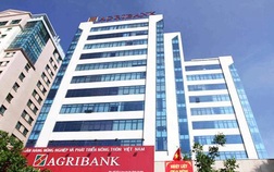 Agribank rao bán nợ của nhóm khách hàng thế chấp cổ phiếu EVN Finance