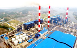 Cơ điện lạnh REE lại đăng ký bán 12 triệu cổ phần tại Nhiệt điện Quảng Ninh