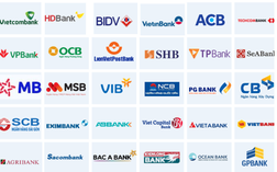 Quỹ đầu tư số 1 thị trường nhận định gì về triển vọng cổ phiếu ngân hàng Việt Nam?