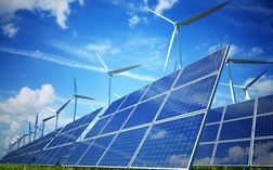 Điện Gia Lai (GEG): Sắp phát hành hơn 32 triệu cổ phần, năm 2021 sẽ tiếp tục M&A các dự án điện gió
