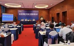 ĐHCĐ Nhựa Pha Lê (PLP): Đặt tham vọng lớn với thị trường VLXD Mỹ, kế hoạch lãi 45 tỷ đồng trong năm 2021