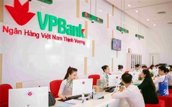 VPBank đặt mục tiêu lợi nhuận hơn 16.600 tỷ đồng, muốn phát hành 15 triệu cổ phiếu ESOP với giá 10.000 đồng/cp trong năm 2021