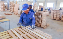 Phú Tài (PTB) chốt danh sách cổ đông trả cổ tức tỷ lệ 25,5%