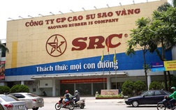 Cao su Sao Vàng (SRC) bổ sung đăng ký kinh doanh sắt thép giữa lúc giá tăng phi mã