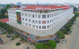 Đông Á Hotel (DAH) thông qua phương án chào bán riêng lẻ 50 triệu cổ phiếu, tăng vốn điều lệ lên gấp rưỡi
