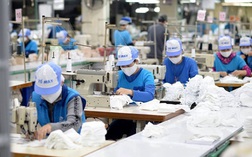 Vinatex (VGT): Đơn hàng tăng mạnh, quý 2 báo lãi kỷ lục 390 tỷ đồng, gấp 3,3 lần cùng kỳ 2020