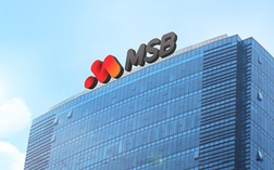 MSB được chấp thuận tăng vốn thêm hơn 3.500 tỷ đồng thông qua chi trả cổ tức tỷ lệ 30%