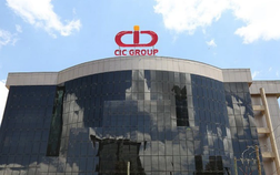 CIC Group sắp phát hành gần 9 triệu cổ phiếu để trả cổ tức