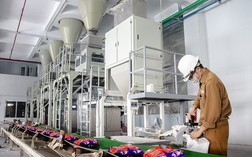 Cổ phiếu Hóa chất Đức Giang (DGC) rơi xuống đáy 14 tháng, Chủ tịch Đào Hữu Huyền muốn tăng sở hữu