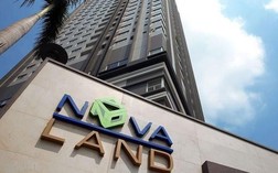 NovaGroup bị bán giải chấp 40 triệu cổ phiếu NVL ngay trong phiên thị giá tăng trần với thanh khoản thoả thuận kỷ lục