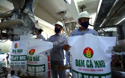 Bị xử phạt 578 triệu đồng do sai phạm về hải quan, Đạm Cà Mau giải trình gì?