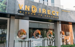 VNDirect (VND) đặt mục tiêu lợi nhuận tăng trưởng 32% năm 2022, lên kế hoạch chào bán riêng lẻ 20% cổ phần