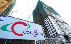 Cổ phiếu Coteccons (CTD) giảm 43% từ đỉnh đầu năm