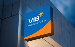 Vợ Phó tổng giám đốc VIB vừa mua 800 nghìn cổ phiếu