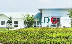 Cổ phiếu giảm sàn 5 phiên liên tiếp, LDG khẳng định hoạt động kinh doanh bình thường
