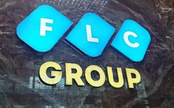 Tất cả thành viên Bộ phận Kiểm toán nội bộ FLC xin từ chức