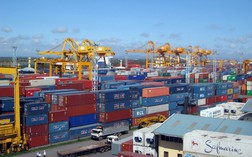 Nhận cổ tức từ công ty liên kết, một doanh nghiệp cảng biển báo lãi quý 4 tăng 30%