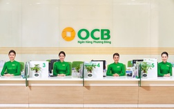 Các mảng kinh doanh cốt lõi của OCB tiếp tục tăng trưởng tốt trong năm 2022, ngân hàng số bứt phá ấn tượng