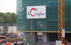 Lợi nhuận năm 2022 tiếp tục phá đáy, Coteccons (CTD) đem tiền đầu tư chứng khoán tạm lỗ gần 61 tỷ đồng