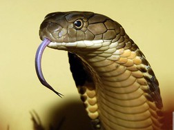 7 điểm nóng cần gỡ rối năm Quý Tỵ
