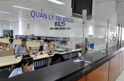 KLS: Năm 2013 nâng cao hiệu quả đầu tư và cung cấp dịch vụ tài chính
