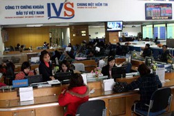 IVS: Chỉ tiêu an toàn tài chính đạt 238%, lãi sau kiểm toán năm 2012 hơn 2 tỷ đồng