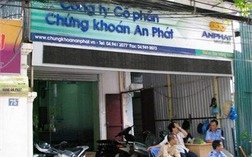 Hoàn nhập gần 17 tỷ, năm 2012 APG lãi 400 triệu đồng
