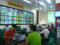 HSG lên cao nhất trong lịch sử, SJS, NVT, HAX giảm sàn sau thông tin bị tạm ngừng giao dịch