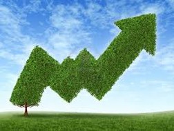 MSN giảm 4.000 đồng, Vn-Index mất mốc 480 điểm