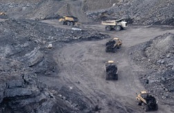 &ldquo;Đen&rdquo; như cổ phiếu than!