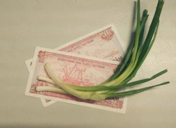 Choáng giá cổ phiếu không mua được&hellip; cọng hành