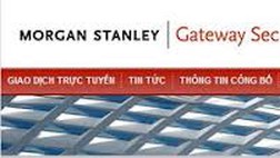 CK Morgan Stanley Hướng Việt: Gửi ngân hàng hơn 350 tỷ đồng, chiếm 98% tổng tài sản