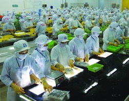 UBCKNN bác phương án phát hành cổ phiếu CMX