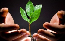 Quỹ mở gọi vốn và vai trò CTCK