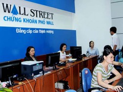 WSS: 6 tháng lãi 270 triệu đồng, kiểm toán lưu ý việc đầu tư bất động sản