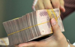 Soi hiệu quả hoạt động của 17 CTCK có ngân hàng "chống lưng"