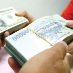 Đô la hóa và tỷ giá hối đoái của Việt Nam