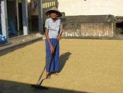 Việt Nam chính thức già hoá dân số