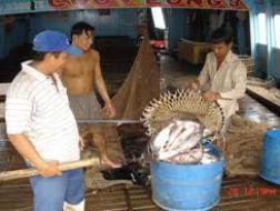 Bộ Nông nghiệp và Phát triển nông thôn cổ phần hóa 10 Tổng công ty 90